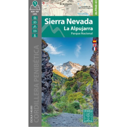 Sierra Nevada 1:40T