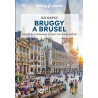 Bruggy a Brusel LP do kapsy
