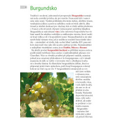 Burgundsko a údolí Loiry RG