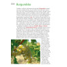 Burgundsko a údolí Loiry RG