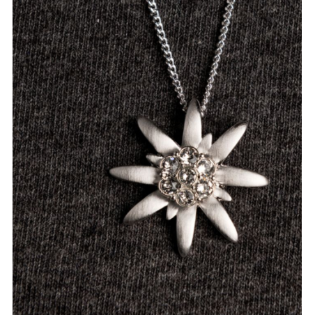 Crystalp Edelweiss přívěsek s protěží