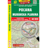 Poĺana SC 484
